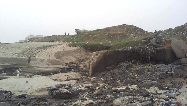 vlcsnap-2017-01-16-08h49m05s581