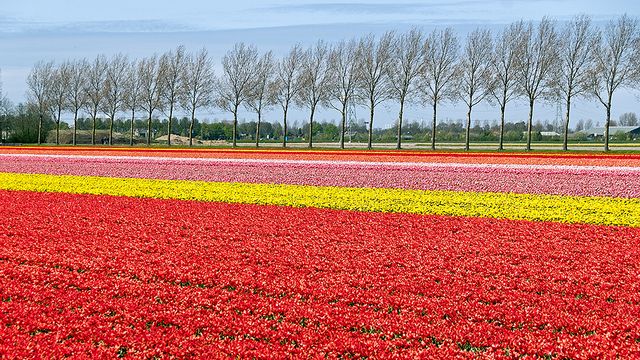 8743829489_c8019973c8_z